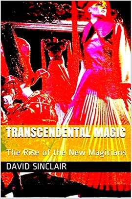Cover image for Transcendental Magic: The Rise of the New Magicians