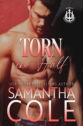 Cover image for Torn in Half