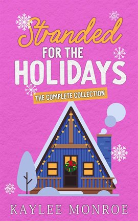 Cover image for Stranded for the Holidays