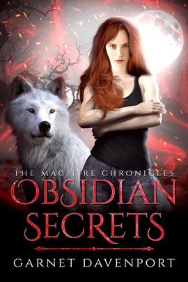 Cover image for Obsidian Secrets