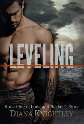 Cover image for Leveling