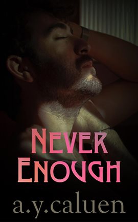 Cover image for Never Enough