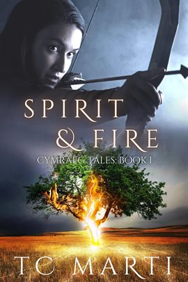 Cover image for Spirit and Fire