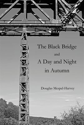 Cover image for The Black Bridge and a Day and Night in Autumn