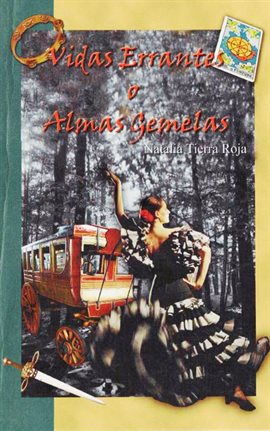 Cover image for Vidas errantes o almas gemelas