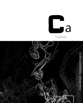 Cover image for Indiscernible Elements: Calcium