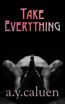 Cover image for Take Everything