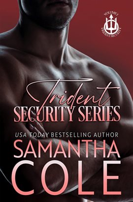 Cover image for Trident Security Series