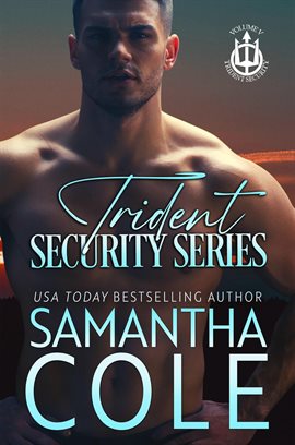 Cover image for Trident Security Series