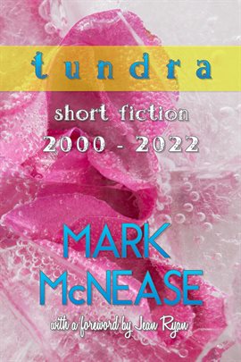 Cover image for Tundra: Short Fiction 2000-2022