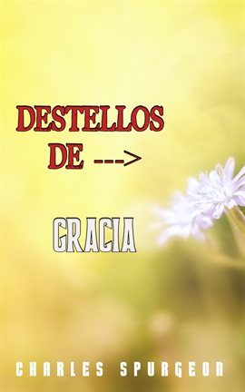 Cover image for Destellos De Gracia