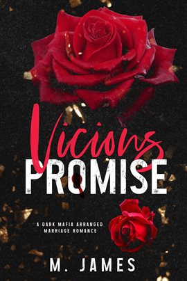 Cover image for Vicious Promise