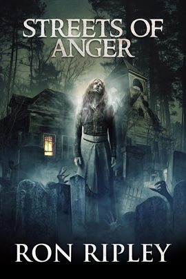 Cover image for Streets of Anger