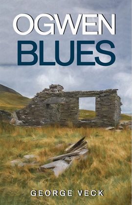 Cover image for Ogwen Blues