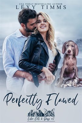Cover image for Perfectly Flawed