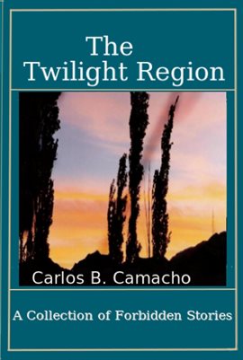 Cover image for The Twilight Region