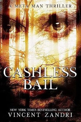 Cover image for Cashless Bail