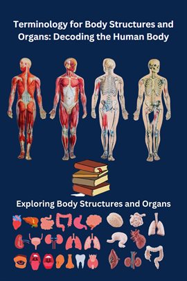 Imagen de portada para Terminology for Body Structures and Organs: Decoding the Human Body