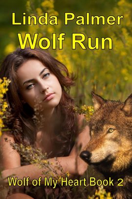 Cover image for Wolf Run