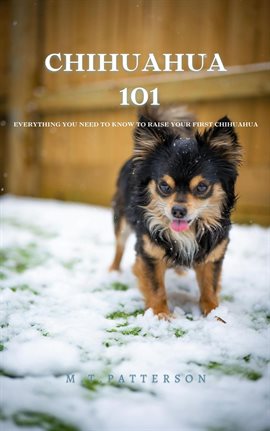 Cover image for Chihuahua 101: Everything You Need to Know to Raise Your First Chihuahua