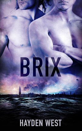 Cover image for Brix