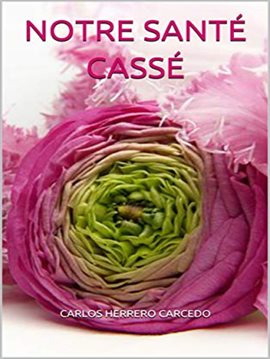 Cover image for Notre Santé Cassé