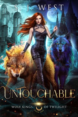 Cover image for Untouchable