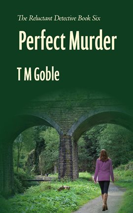 Cover image for Perfect Murder