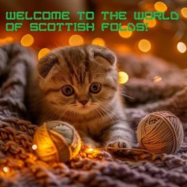 Cover image for Welcome to the World of Scottish Folds!