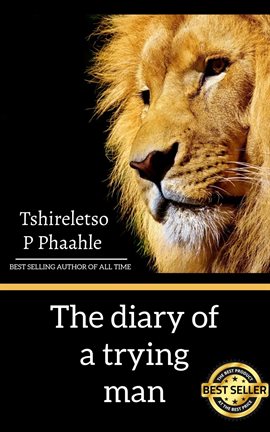 Imagen de portada para The Diary of a Trying Man