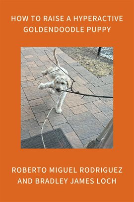 Cover image for How to Raise a Hyperactive Goldendoodle Puppy