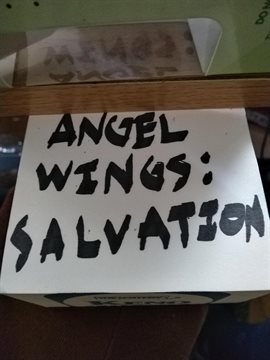 Cover image for Angels Wings: Salvation