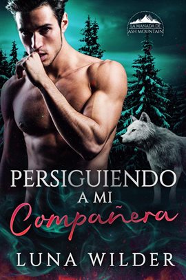 Cover image for Persiguiendo a MI compañera
