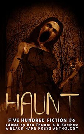 Cover image for Haunt