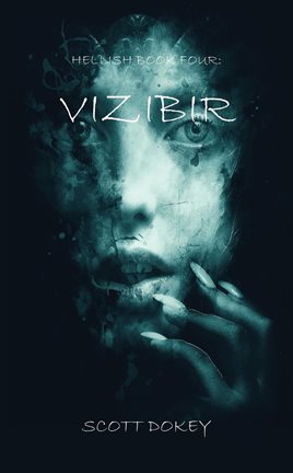 Cover image for Vizibir