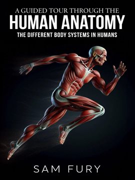 Cover image for A Guided Tour Through the Human Anatomy