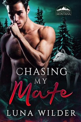 Cover image for Chasing My Mate