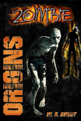 Imagen de portada para Zombie: Origin