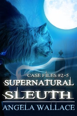 Cover image for Supernatural Sleuth, Case Files #2-5