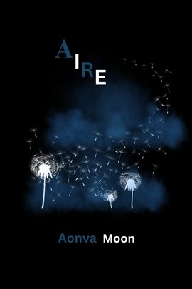Cover image for Aire