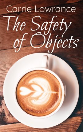 Imagen de portada para The Safety of Objects