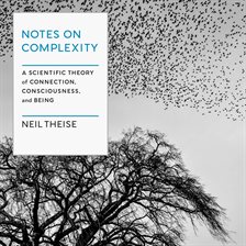 Cover image for Notes on Complexity