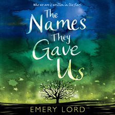 Cover image for Names They Gave Us, The
