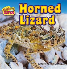 Cover image for Horned Lizard