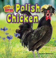 Cover image for Polish Chicken