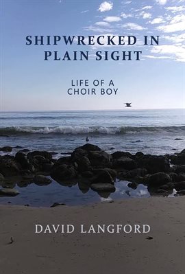 Cover image for Shipwrecked in Plain Sight