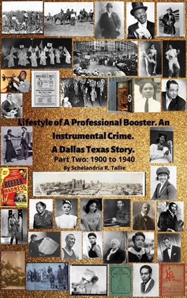 Cover image for Lifestyle of A Professional Booster: An Instrumental Crime: A Dallas Texas Story