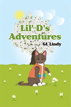 Cover image for Lil' D's Adventures