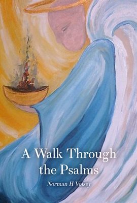 Cover image for A Walk Through the Psalms