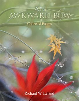 Cover image for An Awkward Bow